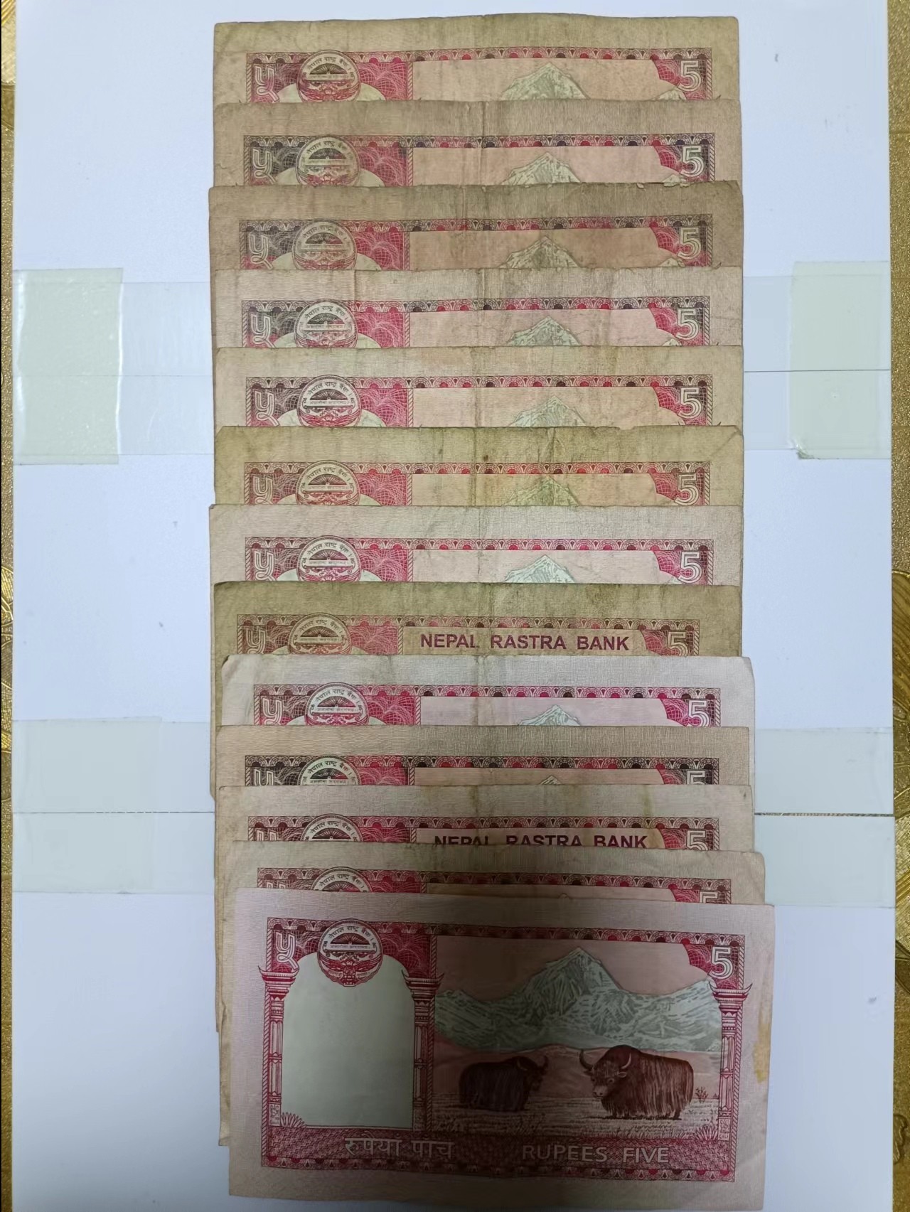 【20240410】非全新纸币第128场 尼泊尔5卢比13张纸币