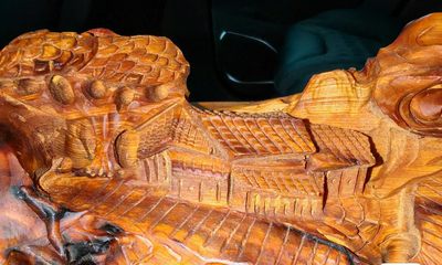 太行崖柏，品名“崖柏之巅” 太行崖柏，品名“崖柏之巅”