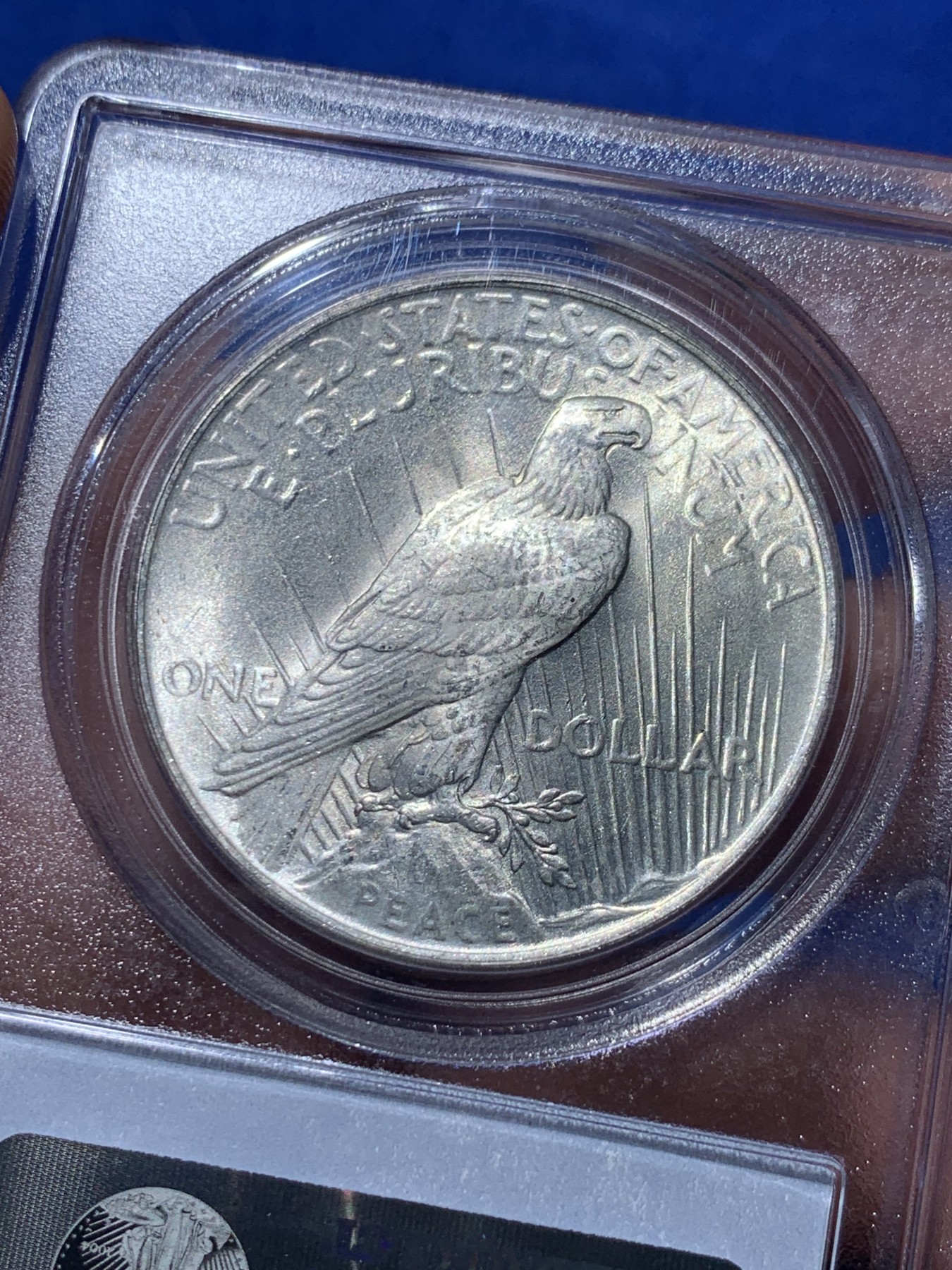 《竞宝斋》第257场-周日，周一 2场连拍 (全场包邮) PCGS MS63 美国1923和平银币 霜光状态 老白盒低评