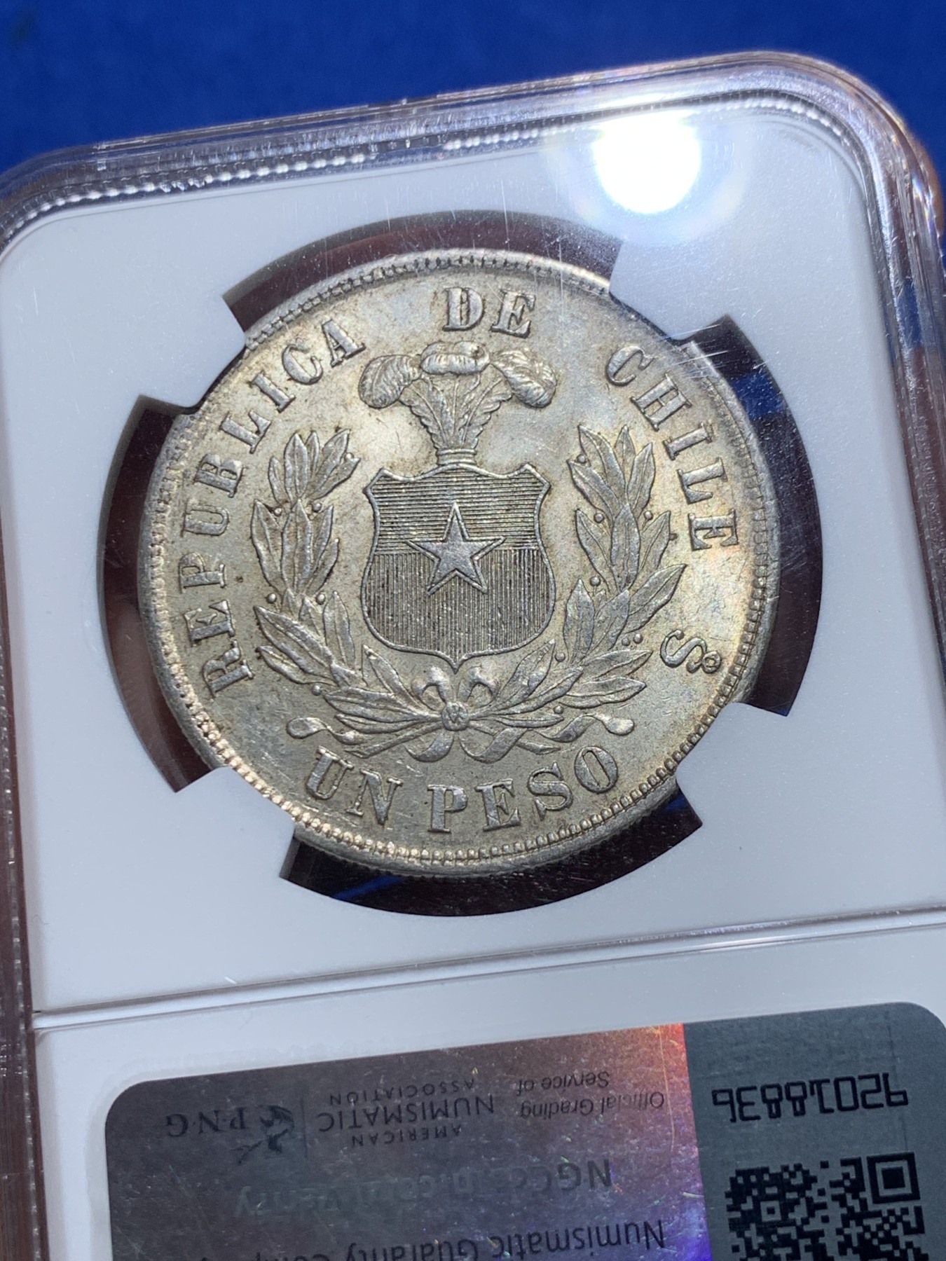 《竞宝斋》第257场-周日，周一 2场连拍 (全场包邮) NGC MS63 智利1884年秃鹰1比索，双面黄油彩非常见白币可比，为1883年硝石战争结束首先版，非常稀少，意义非凡。