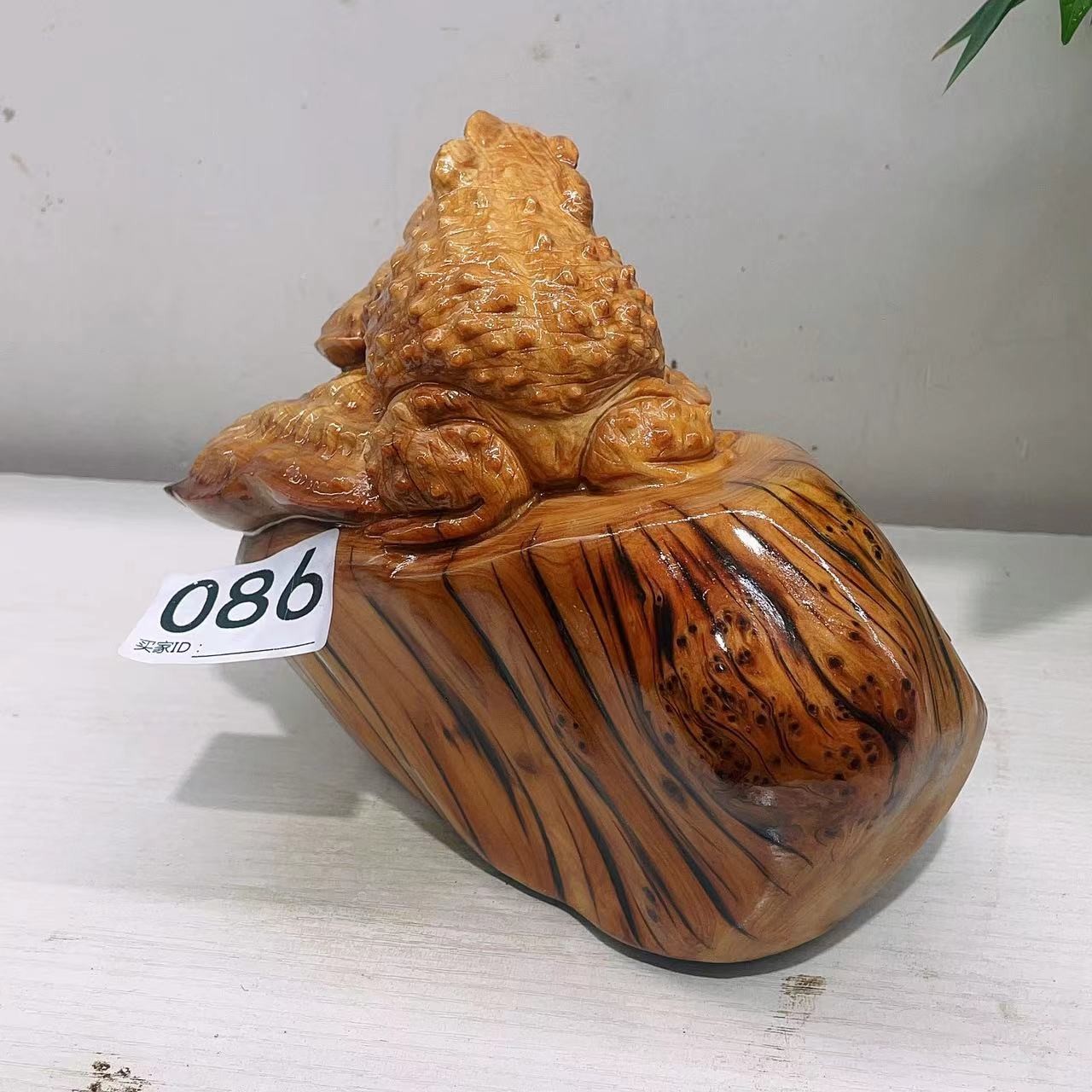 太行崖柏，呱呱来财！