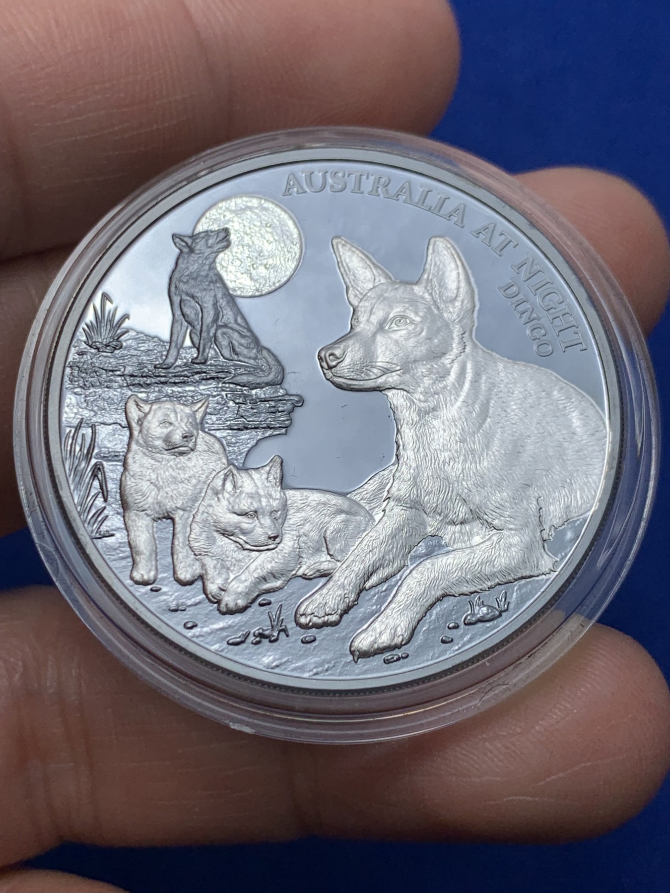 《竞宝斋》第257场-周日，周一 2场连拍 (全场包邮) 纽埃2021年发行澳大利亚夜间动物系列之鬣犬精制银币 礼盒装 抗氧钌化工艺 限量1000枚 市价950+