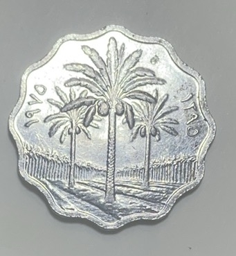 神仙姐姐散币好品专场第二十八期（无佣金满邮自动发出 伊拉克 10 费尔