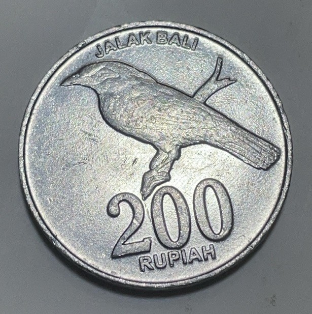 神仙姐姐散币好品专场第二十八期（无佣金满邮自动发出 2003 年荷兰印度尼西亚 200 卢比