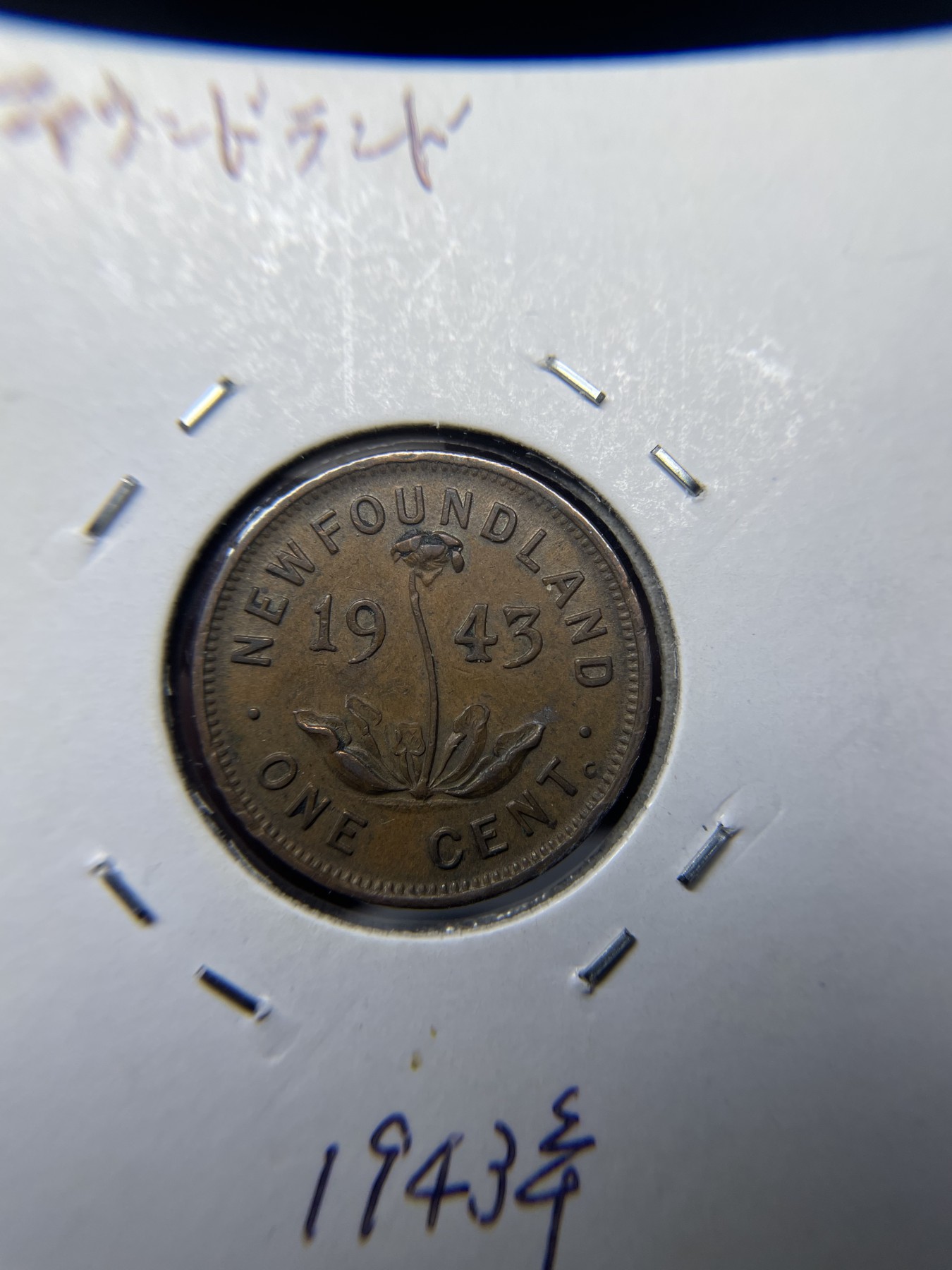 2024年集古藏今外币拍卖第四期-第3场—（总第33拍） 1943年纽芬兰1分