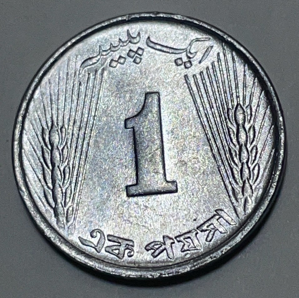 神仙姐姐散币好品专场第二十八期（无佣金满邮自动发出 1972 年巴基斯坦 1派沙