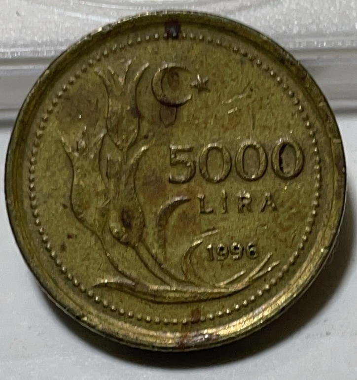 神仙姐姐散币好品专场第二十九期（无佣金满邮自动发出 土耳其 5000 里拉