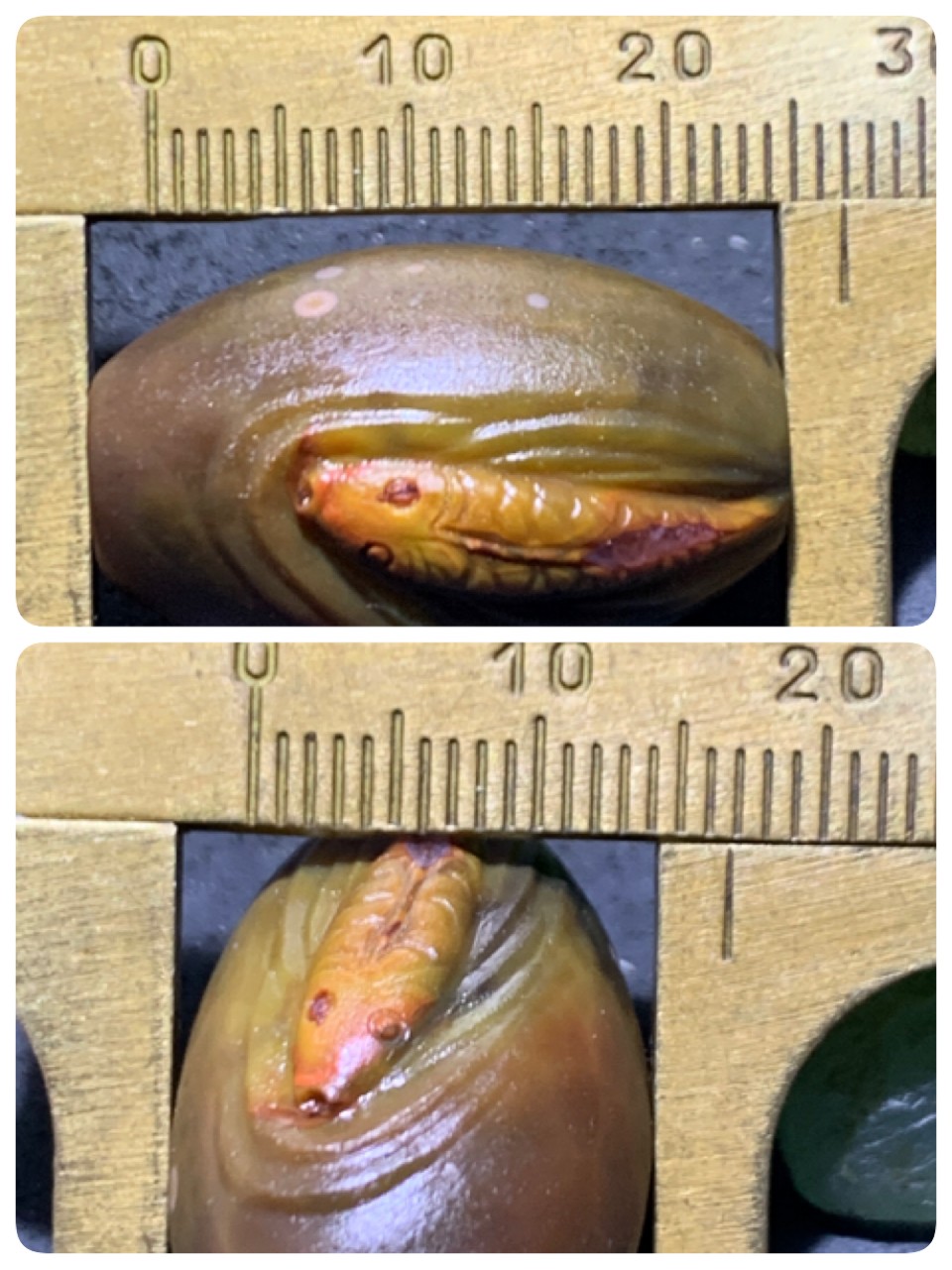 精美亚光战国红玛瑙手工俏色巧雕鲤鱼出水桶珠一个，