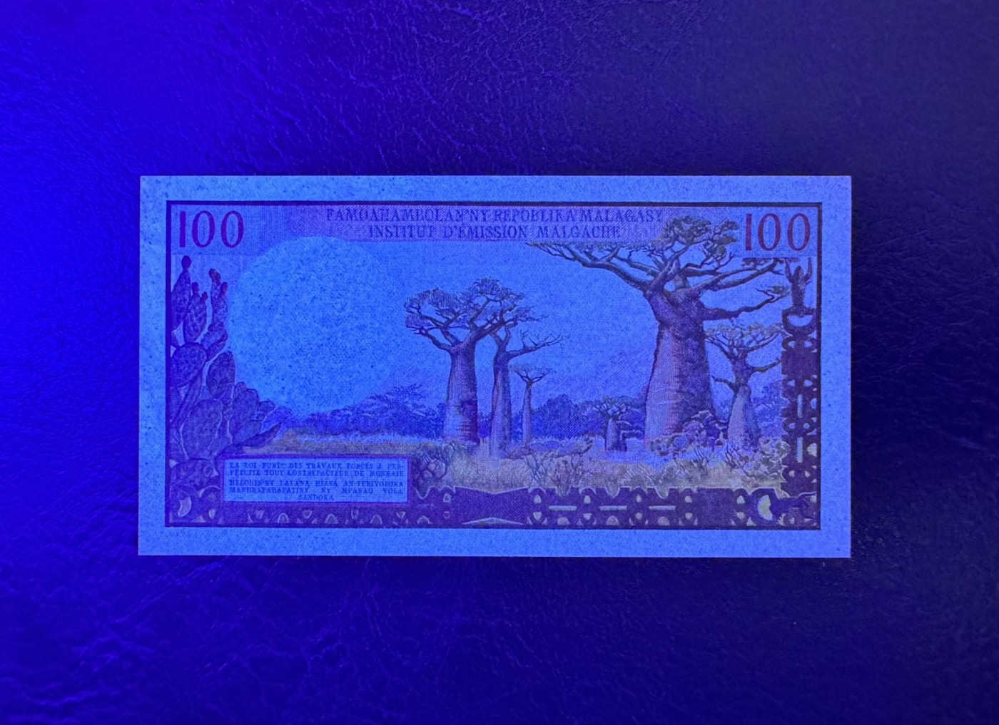 收藏联盟Quantum Auction 第337期拍卖  马达加斯加1966年100法郎 品相UNC- 猴面包树