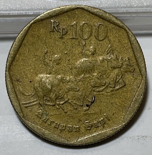 神仙姐姐散币好品专场第二十九期（无佣金满邮自动发出 印尼 100 卢比