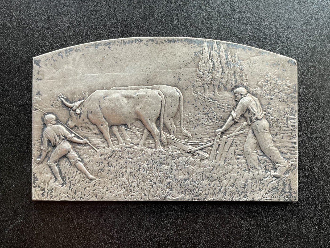 「木头集藏」章牌专场-第40期 L.Coudray～法国农业大银章  尺寸：100×61mm，170g，边铭：丰饶角 1ARGENT，少见大版。