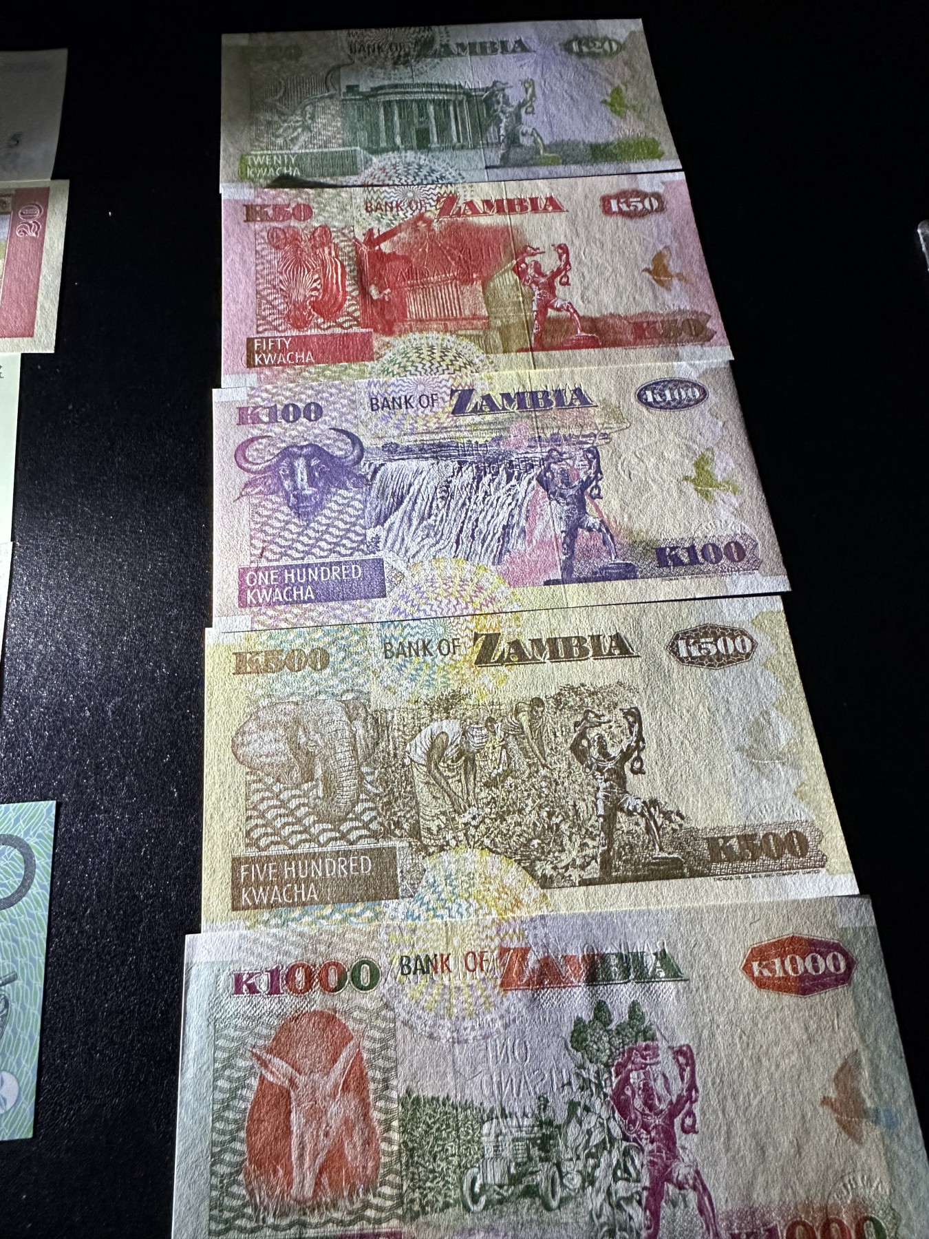 《外钞收藏家》第三百五十八期（连拍第三场）