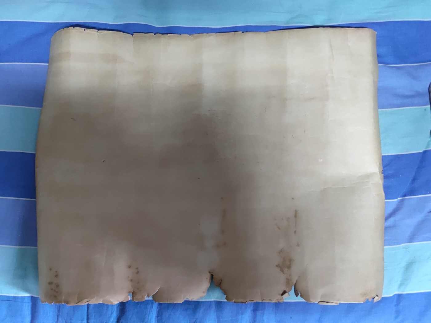 中核食堂第二十九次拍卖 中尉六旭，1938年11月23日击毙