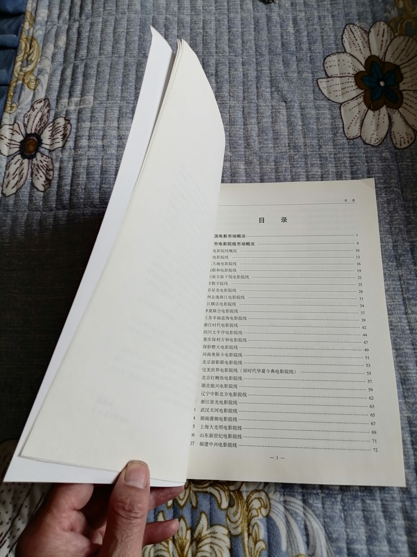 《2017中国电影市场报告》
