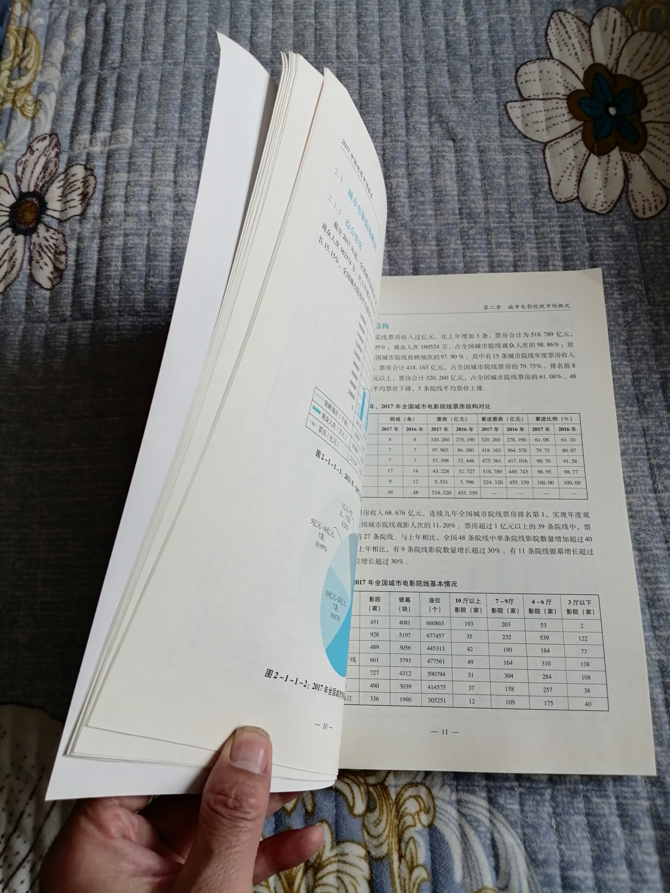 《2017中国电影市场报告》