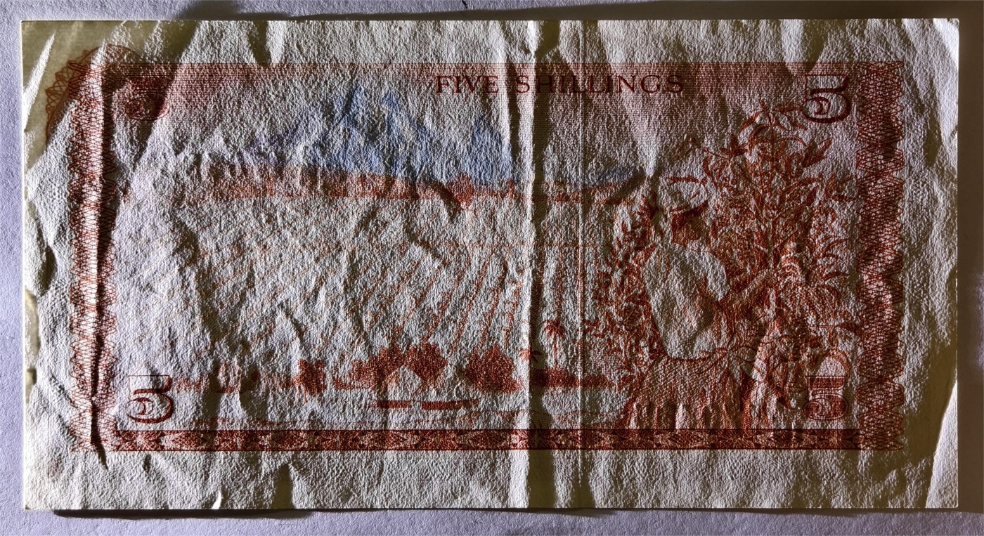 紫瑗钱币——第355期拍卖——纸币场 肯尼亚 1978年 100先令 流通品