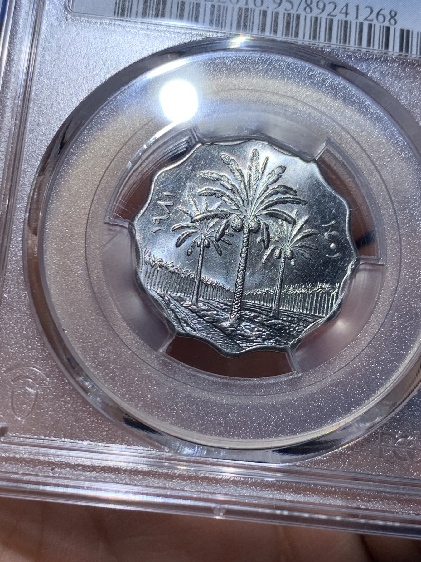 《竞宝斋》第258场-周日，周一 2场连拍 (全场包邮) PCGS金盾 UNCD 伊拉克1981年枣椰树10费尔不锈钢币