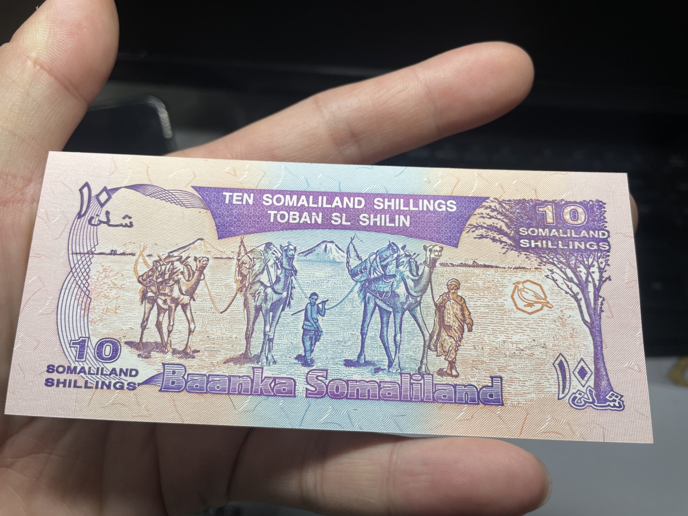 2024年集古藏今外币拍卖第四期-第8场—（总第38拍） 全新1996年索马里10先令纪念钞独立5周年