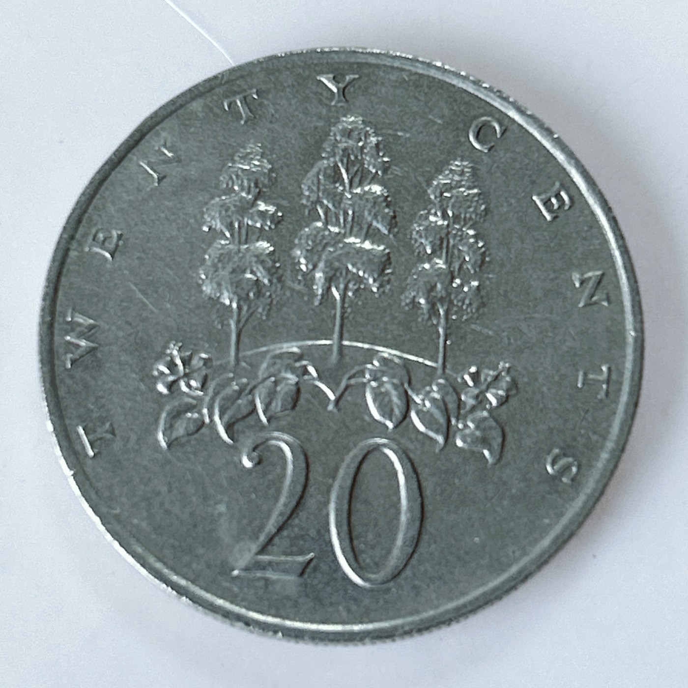 海外回流1元起拍小铺 各国钱币散币场 第10期 牙买加1989年20分