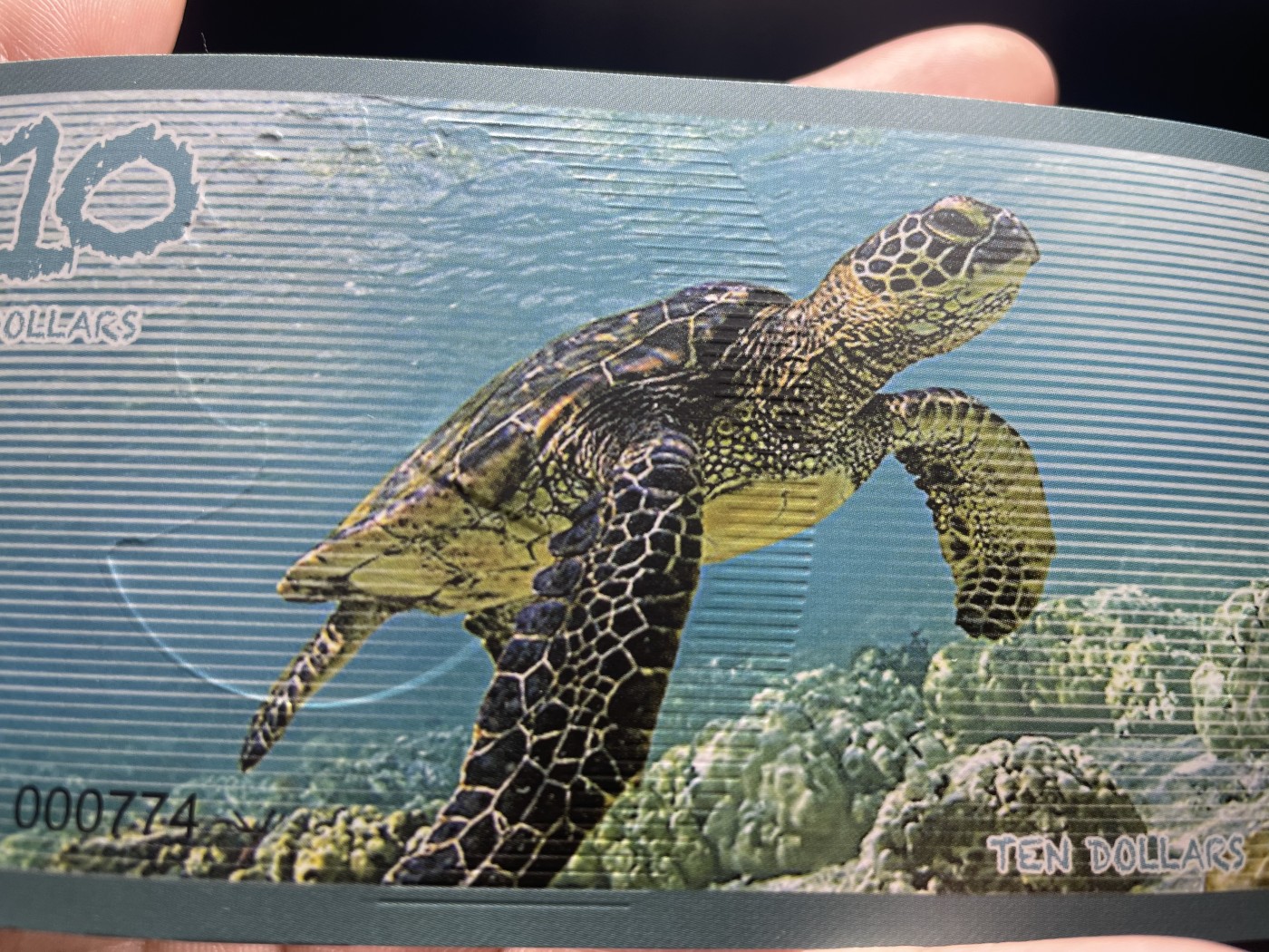 2024年集古藏今外币拍卖第四期-第8场—（总第38拍） 2019年全新阿尔达布拉群岛10元AA冠