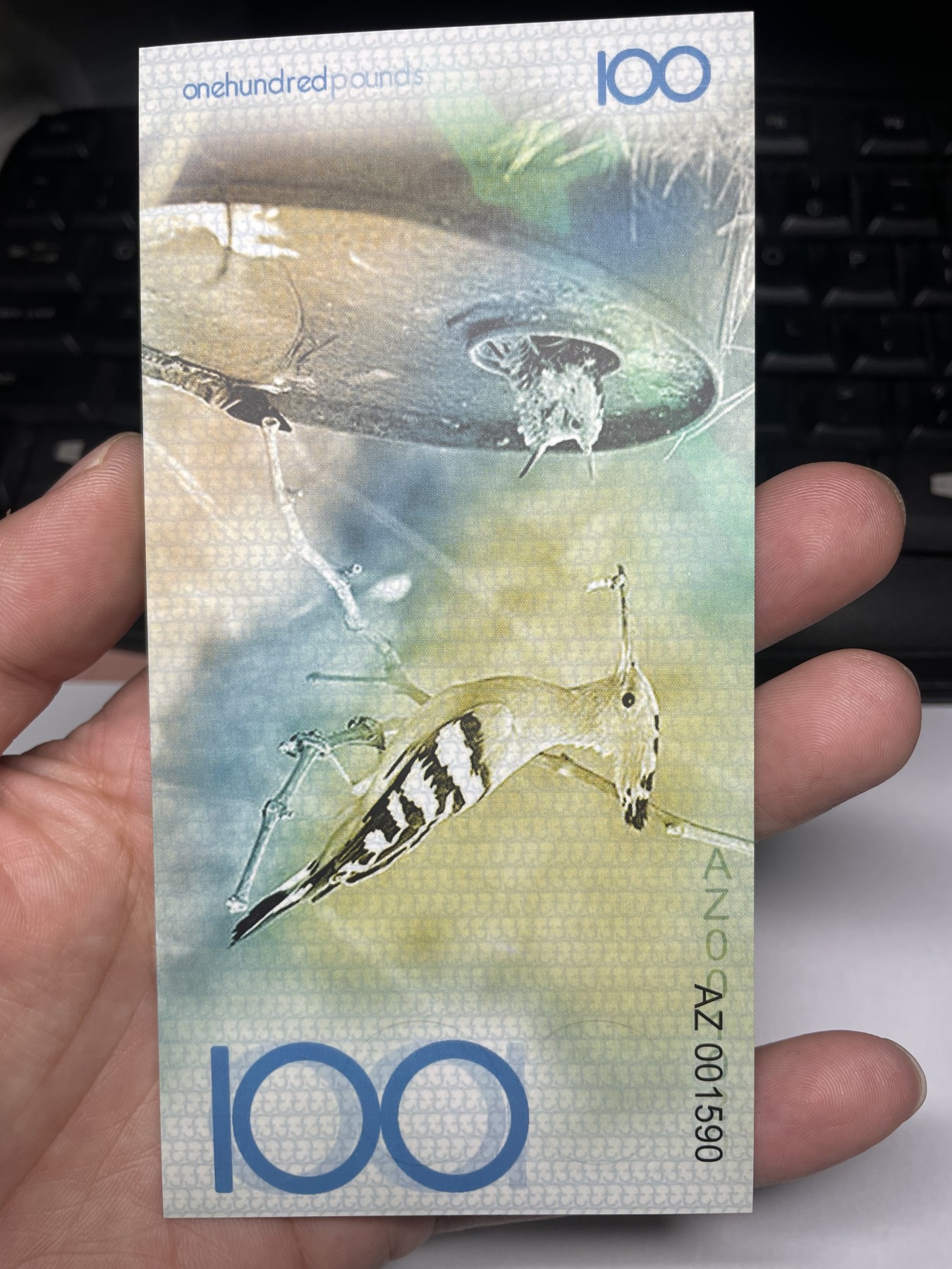 2024年集古藏今外币拍卖第四期-第8场—（总第38拍） 全新阿尔达布拉群岛100元