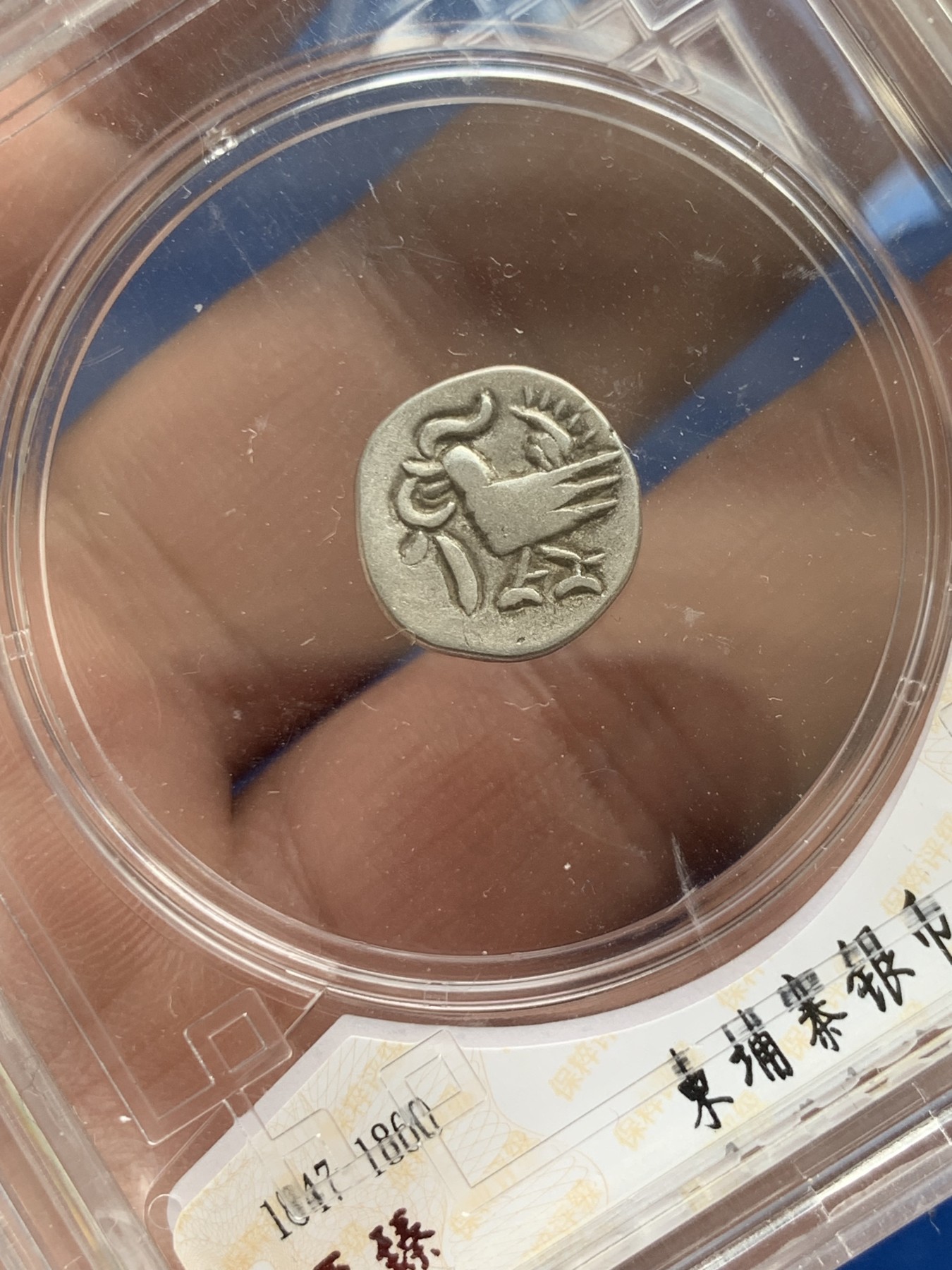 《竞宝斋》第259场-周日，周一 2场连拍 (全场包邮) 保粹 XF45 柬埔寨 神鸟 小银币