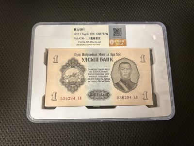 拍拍乐-踏青第二场 - 蒙古第一套纸币，1图，百张，带豹子号333，金盾67E