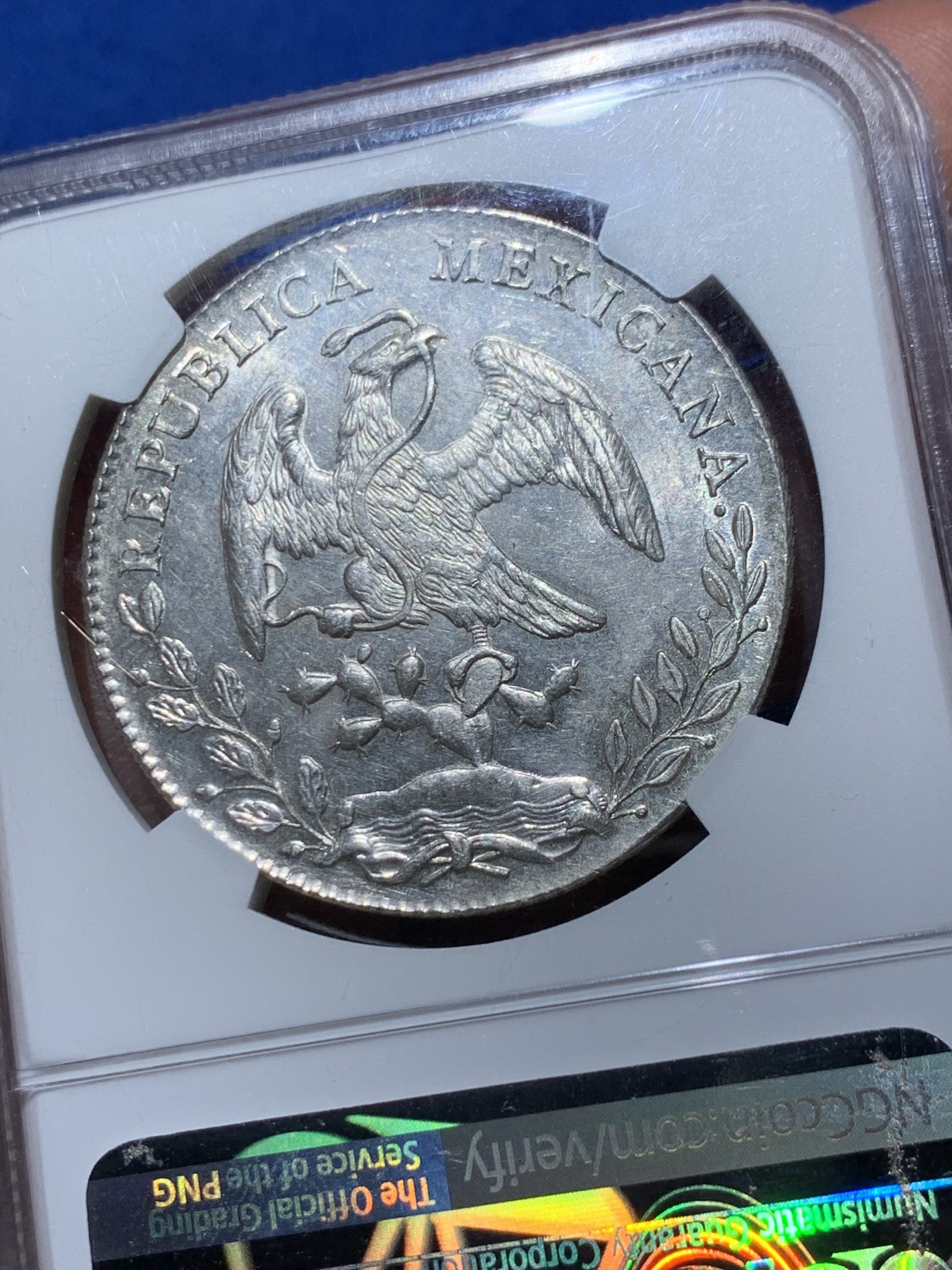 《竞宝斋》第259场-周日，周一 2场连拍 (全场包邮) NGC MS63 墨西哥 1894年MO AM版 花边鹰洋 银币 品相很好