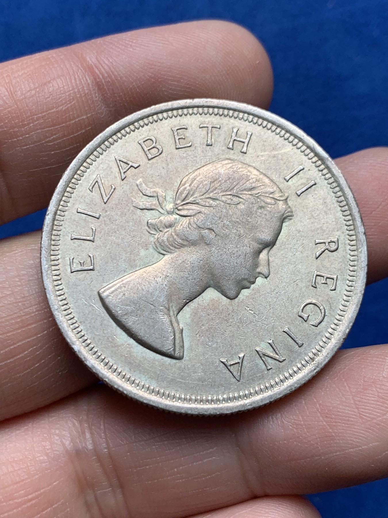 《竞宝斋》第259场-周日，周一 2场连拍 (全场包邮) 南非1953年跳羚5先令大银币