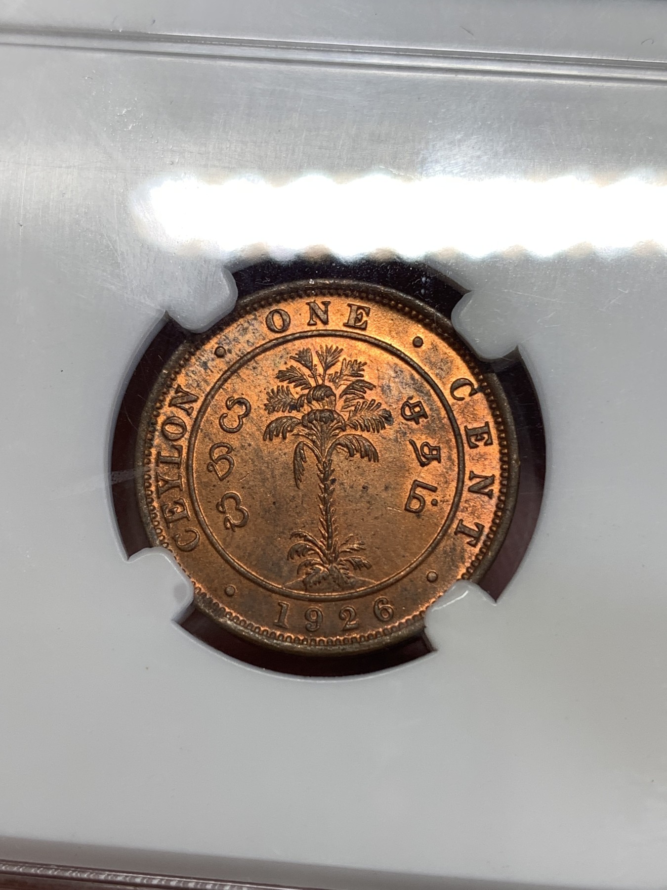 《竞宝斋》第259场-周日，周一 2场连拍 (全场包邮) CNCS MS64RD 英属锡兰1926年1分铜币