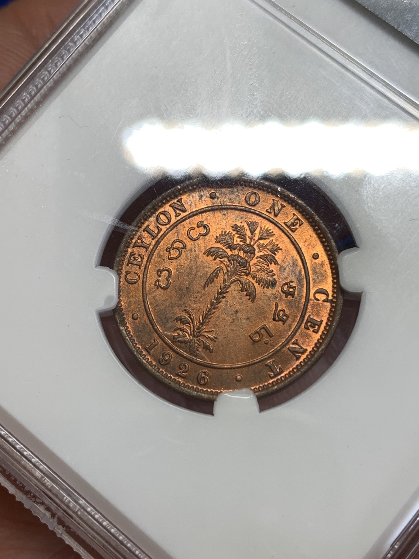 《竞宝斋》第259场-周日，周一 2场连拍 (全场包邮) CNCS MS64RD 英属锡兰1926年1分铜币