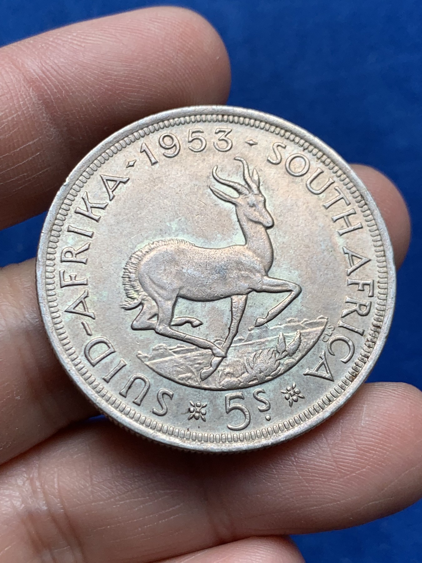 《竞宝斋》第259场-周日，周一 2场连拍 (全场包邮) 南非1953年跳羚5先令大银币