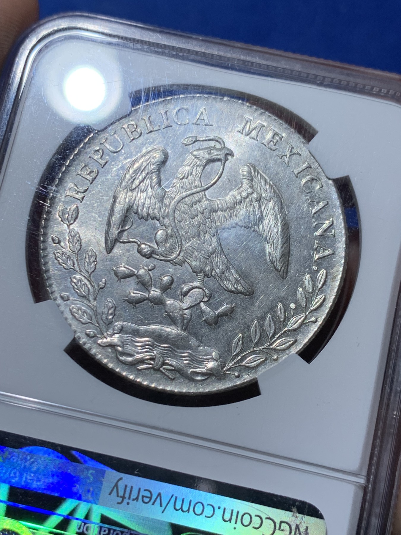 《竞宝斋》第259场-周日，周一 2场连拍 (全场包邮) NGC MS63 墨西哥 1894年MO AM版 花边鹰洋 银币 品相很好