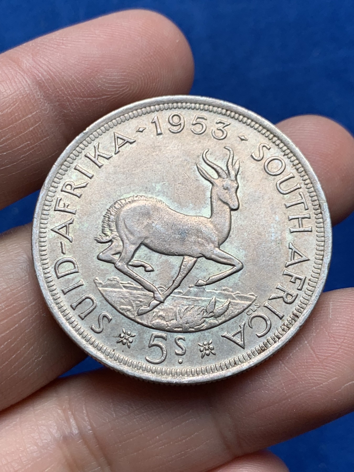 《竞宝斋》第259场-周日，周一 2场连拍 (全场包邮) 南非1953年跳羚5先令大银币