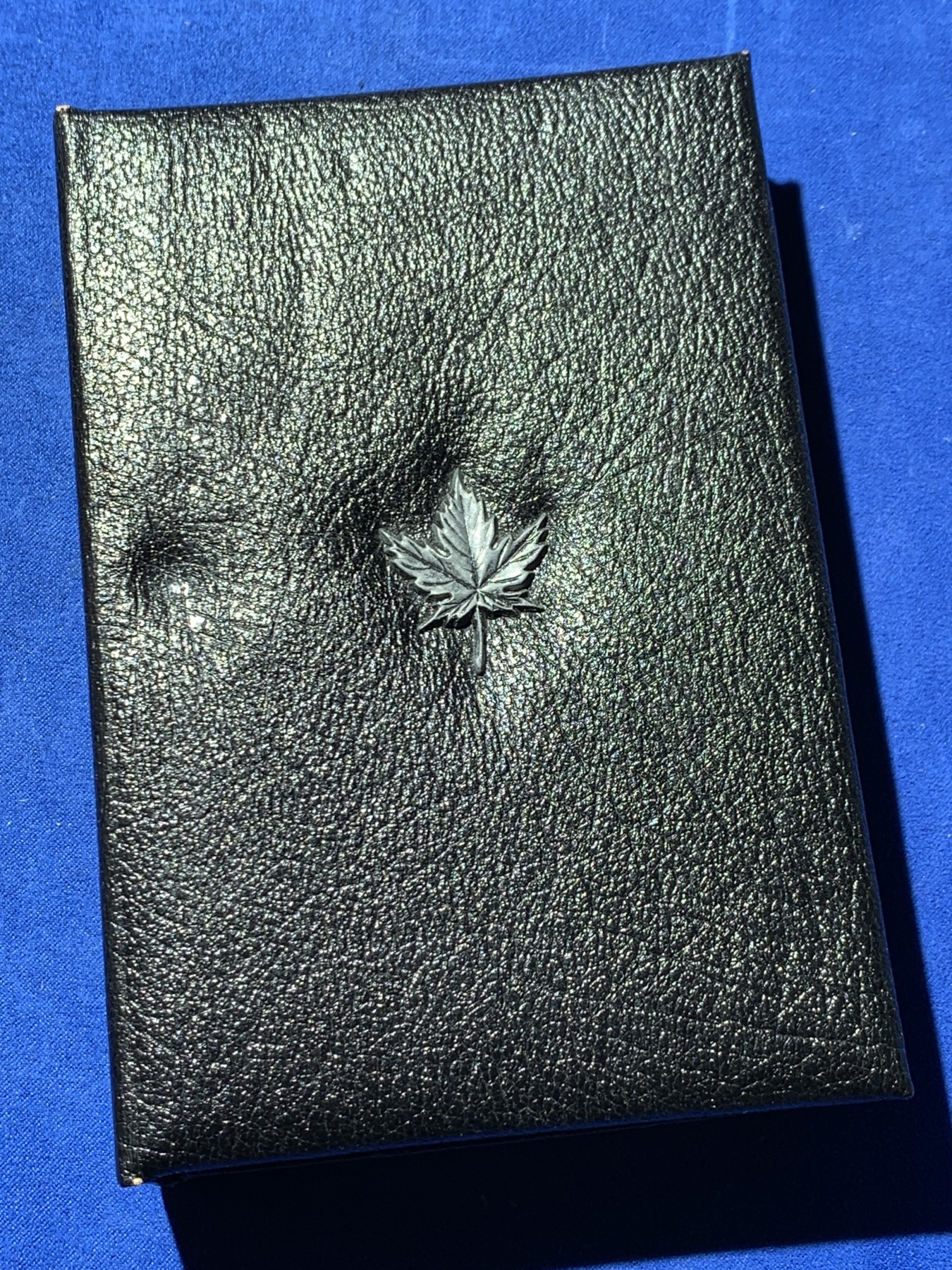 《竞宝斋》第259场-周日，周一 2场连拍 (全场包邮) 加拿大1989年精致套币 含大银币一枚 细节见图