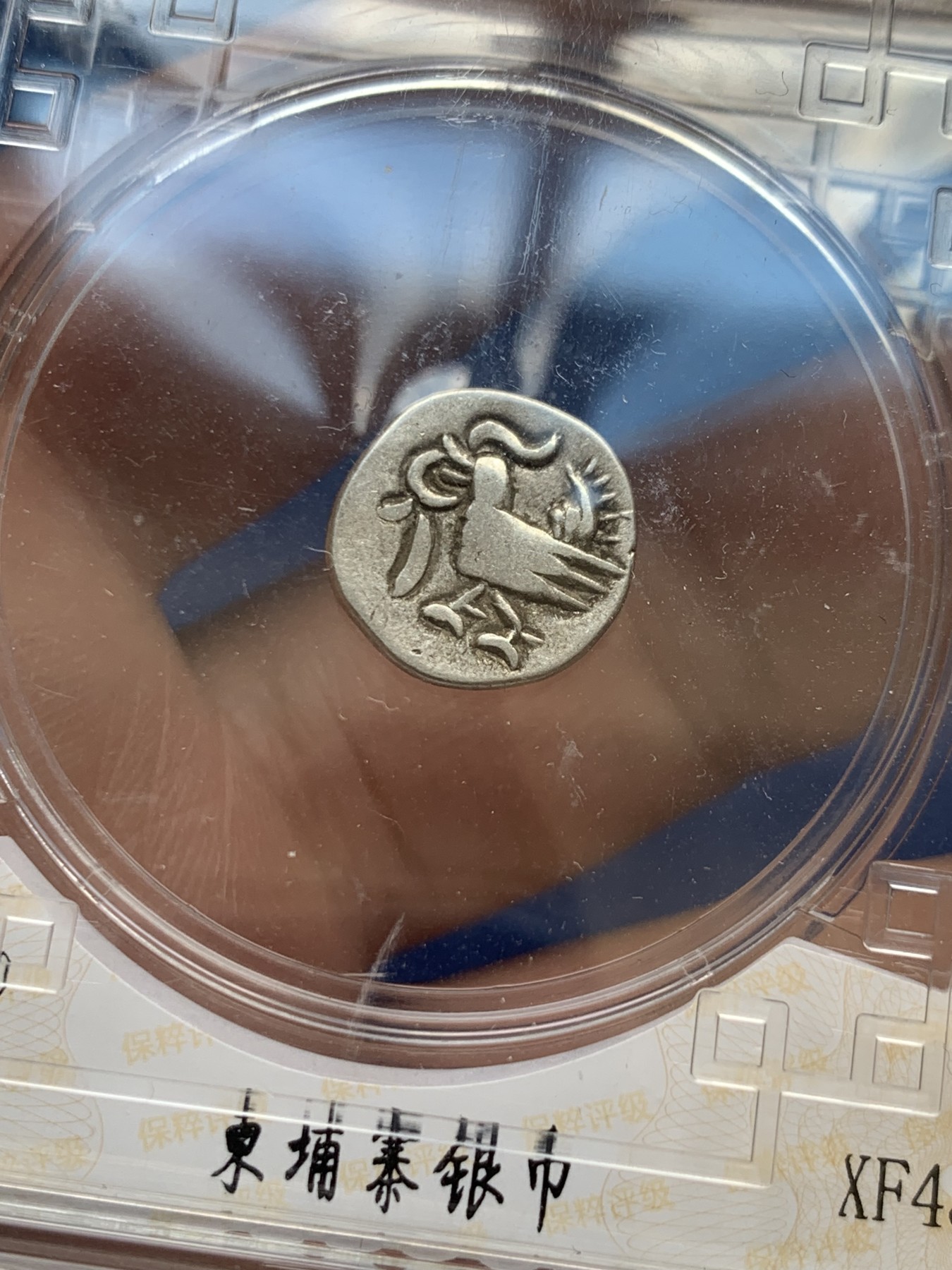 《竞宝斋》第259场-周日，周一 2场连拍 (全场包邮) 保粹 XF45 柬埔寨 神鸟 小银币