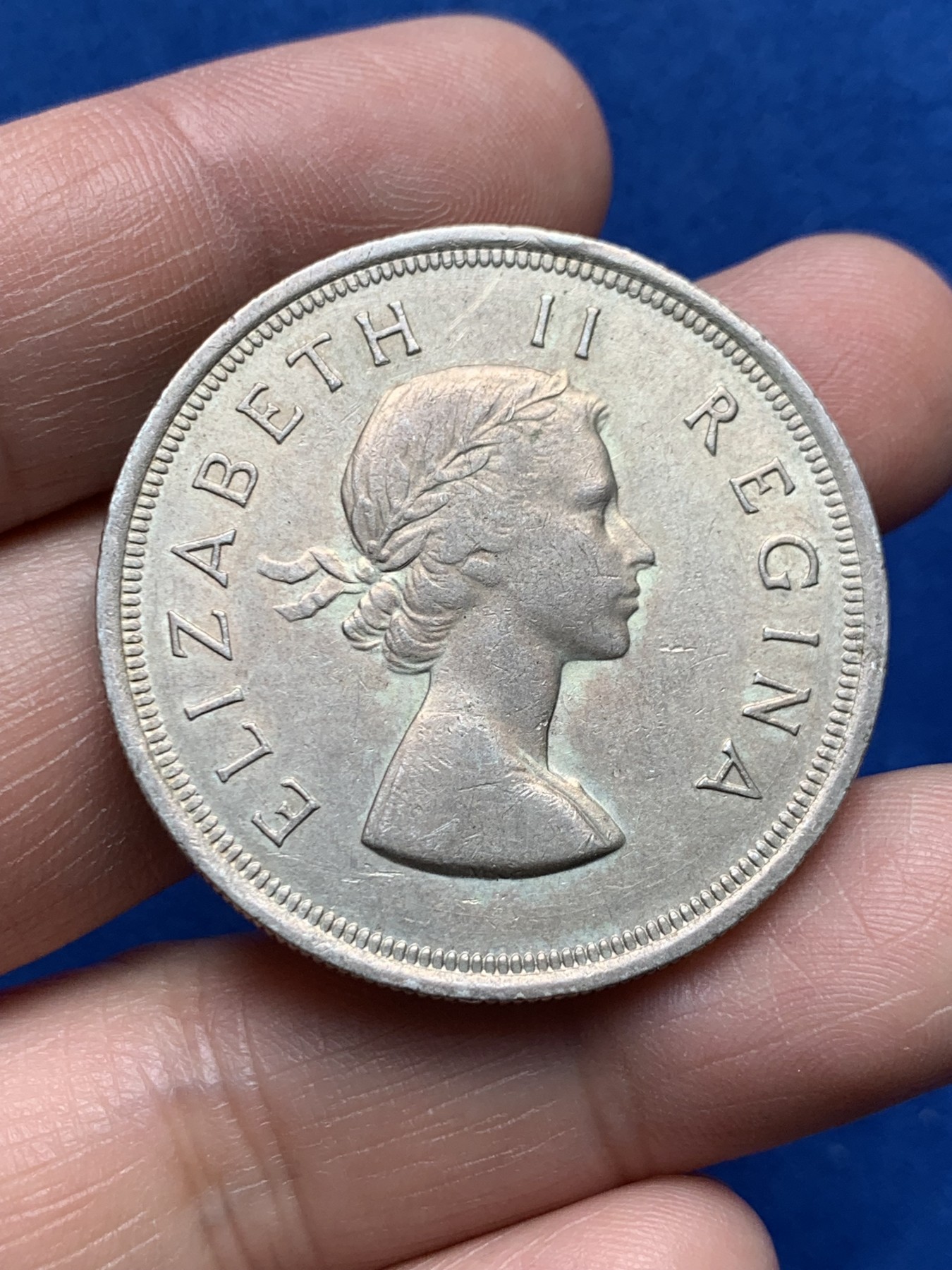 《竞宝斋》第259场-周日，周一 2场连拍 (全场包邮) 南非1953年跳羚5先令大银币