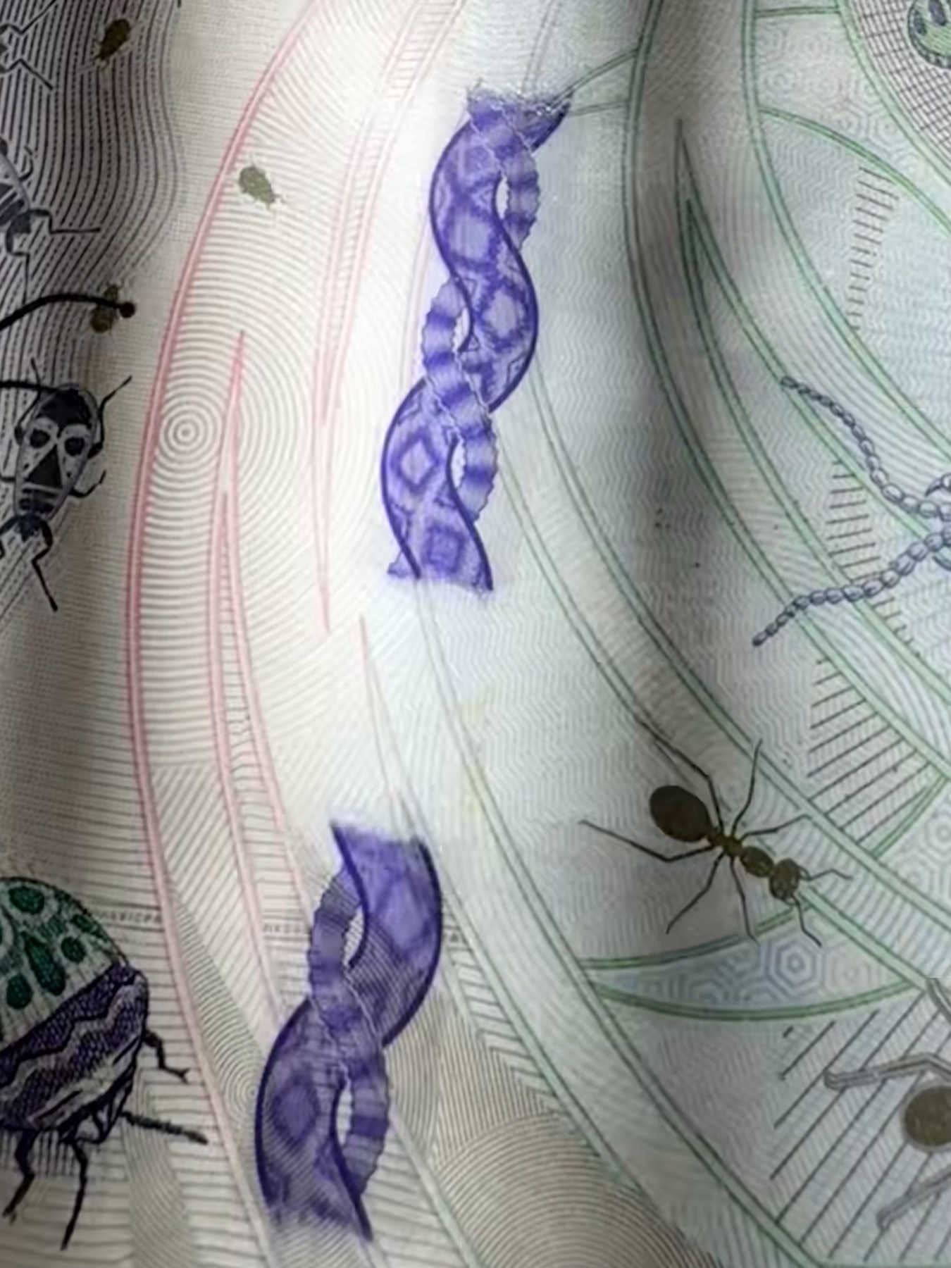 2026第5场（总第232期）：精品测试钞、外钞综合场