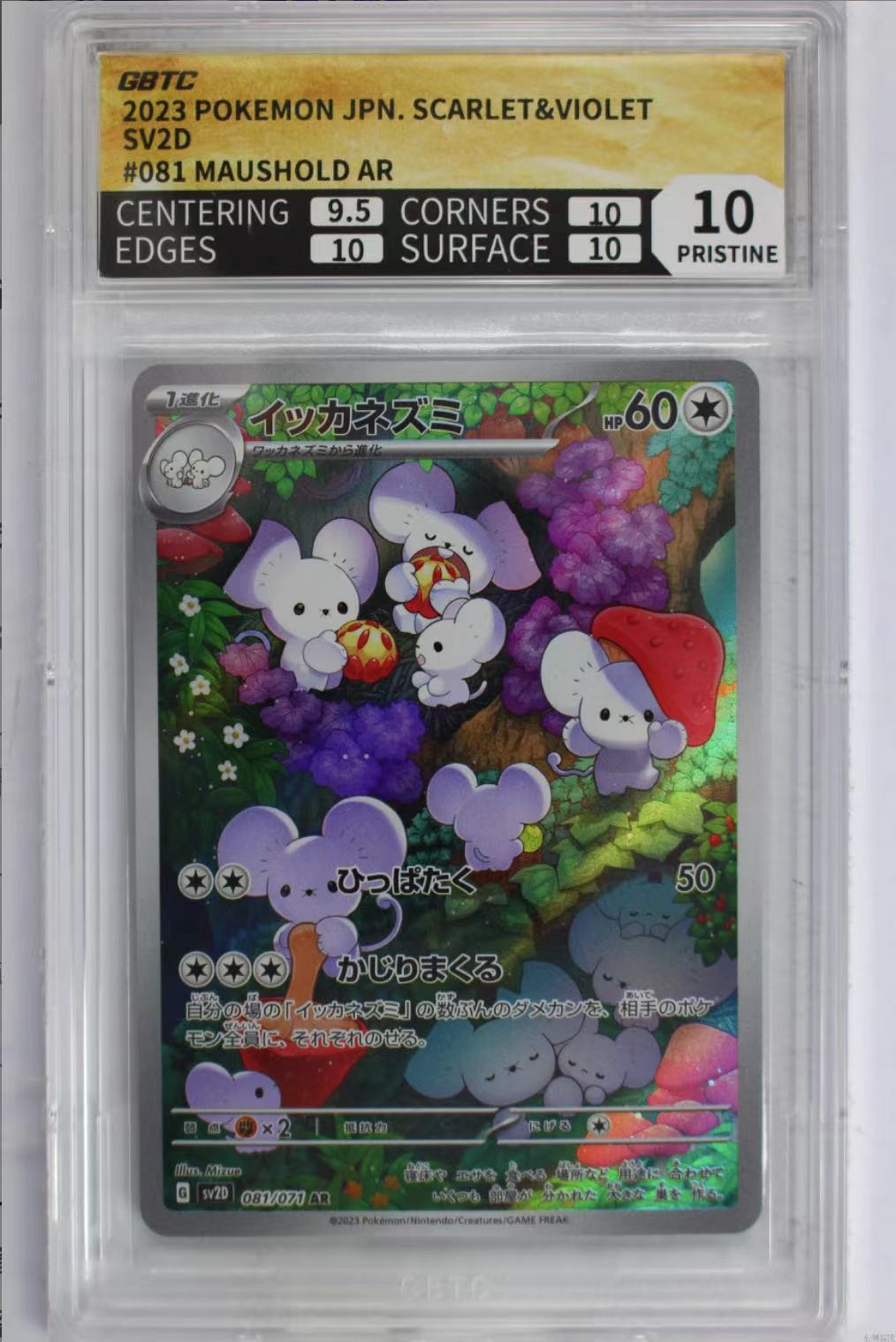公博评级专场 日版 宝可梦 PTCG 一家鼠 SV2D-081 AR