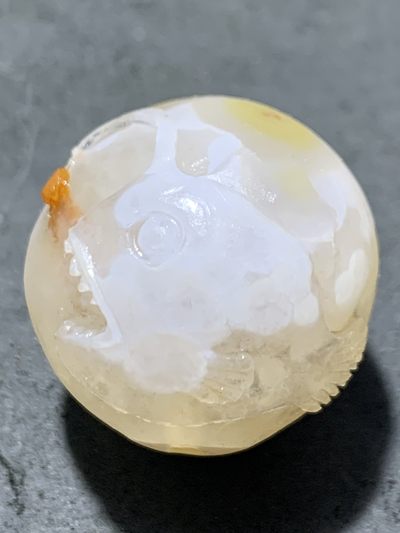 精美亚光冰飘糖心料战国红玛瑙手工俏色巧雕灯笼鱼珠子一颗！ - 精美亚光冰飘糖心料战国红玛瑙手工俏色巧雕灯笼鱼珠子一颗！