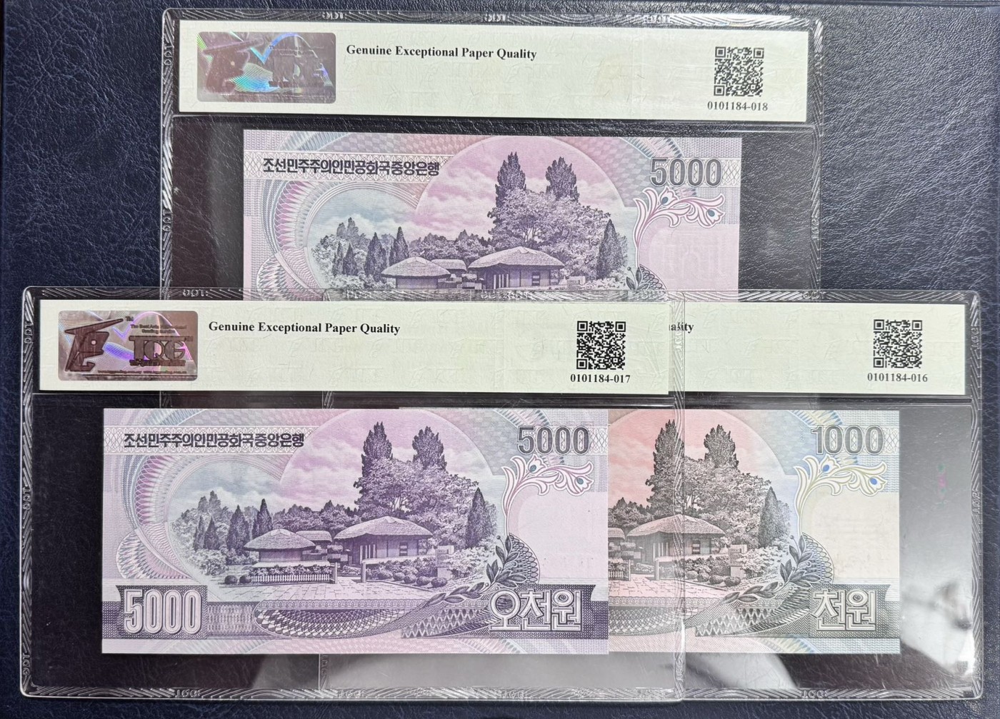 收藏联盟Quantum Auction 第339期拍卖  朝鲜2002-06年1000和5000元 TQG66-67 GEPQ