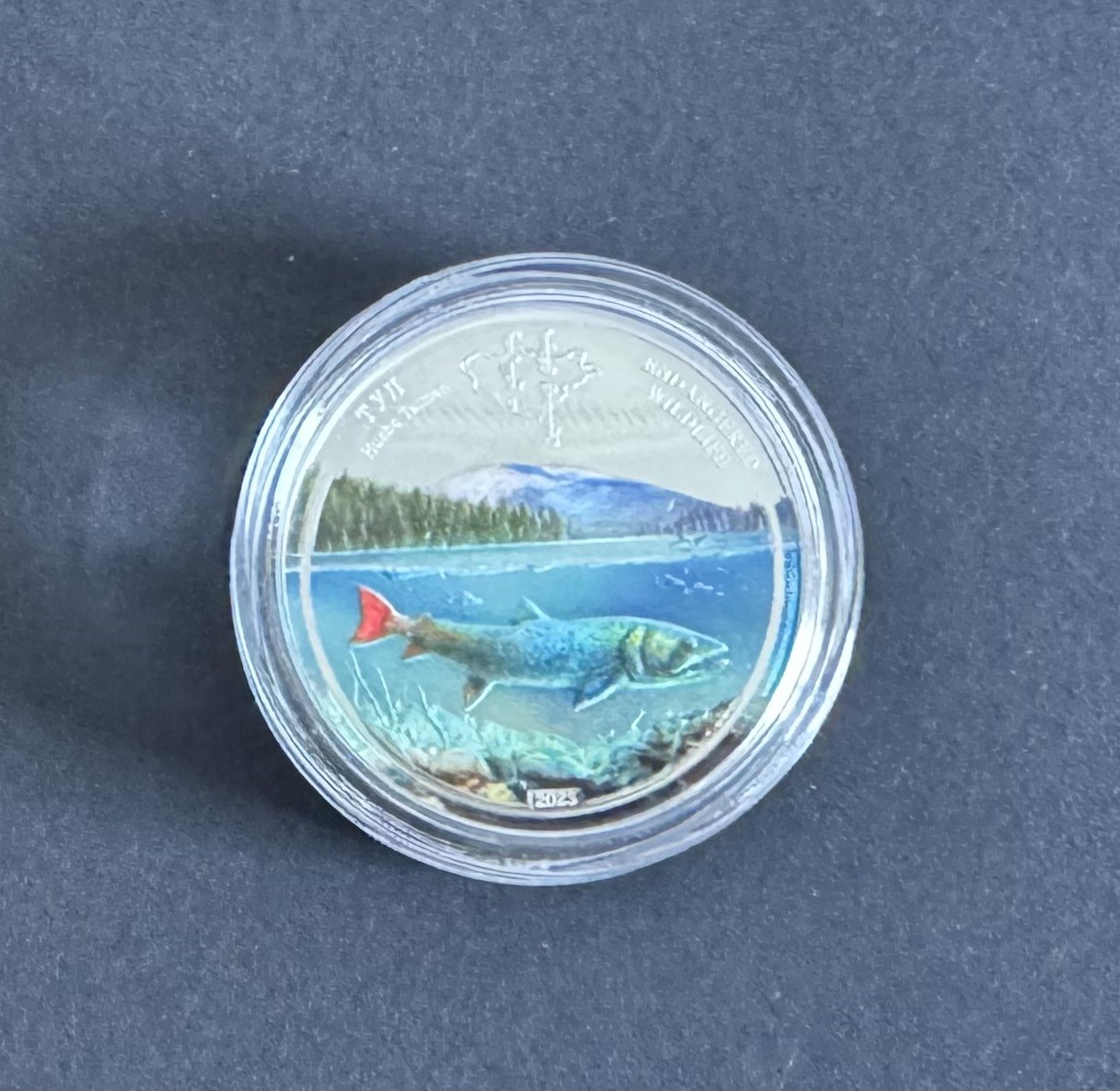 收藏联盟Quantum Auction 第339期拍卖  蒙古2023年500图格里特濒危动物哲罗鲑1盎司精制纪念银币 品相全新 发行量300枚 