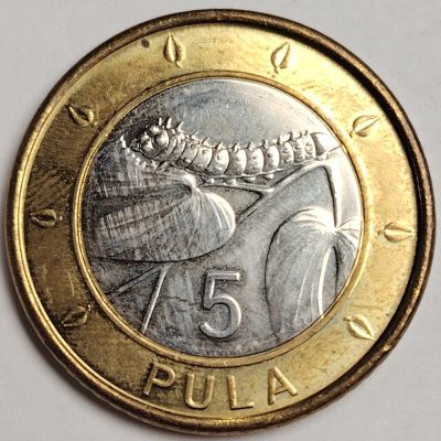 布加迪🐬～世界钱币🌾第 119 期 /  各国币及散币 - 博茨瓦纳🇧🇼2013年 5普拉 24mm 蚕图案双色币
