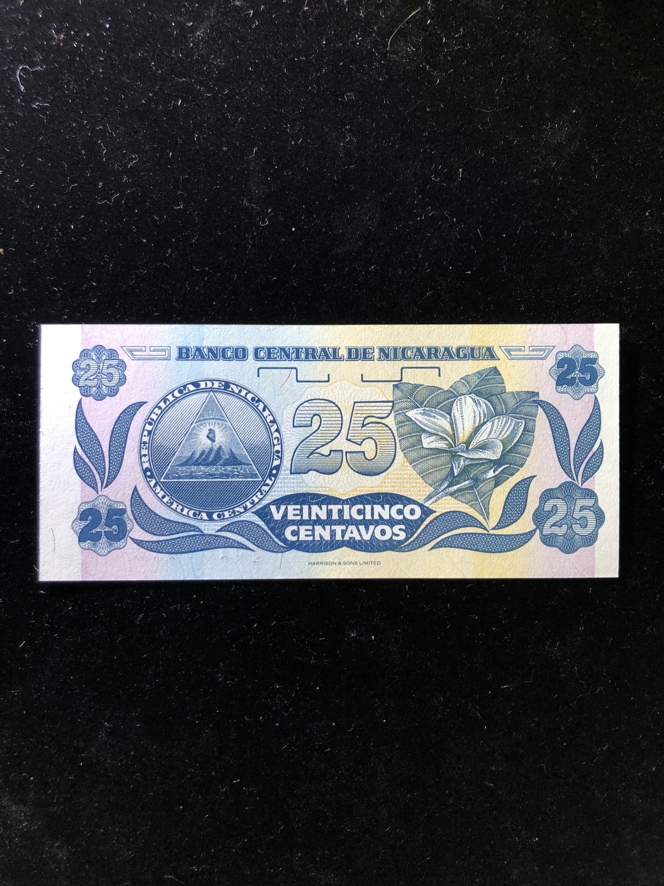 世界外币 1991年，中美洲，尼加拉瓜25科多巴纸币，全新UNC品相