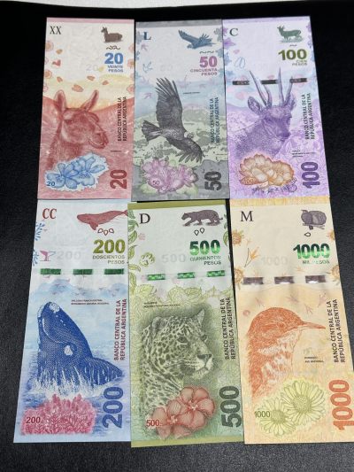 《外钞收藏家》第三百六十一期（连拍第二场） - 阿根廷最新版20-1000 六张一起 全新UNC