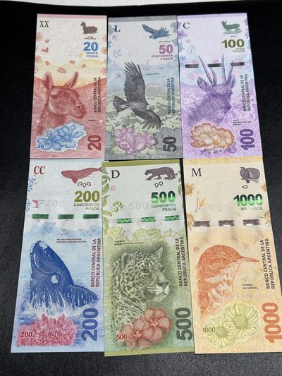 《外钞收藏家》第三百六十一期（连拍第二场） - 阿根廷最新版20-1000 六张一起 全新UNC