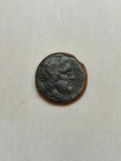 熊太乐钱币拍卖第2场 - 古希腊昔兰尼城宙斯阿蒙和忘忧草铜币