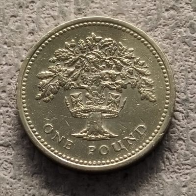 0起1加-纯粹捡漏拍-312散币场 - 英国1987年1镑四邦国花系列英格兰橡树纪念币