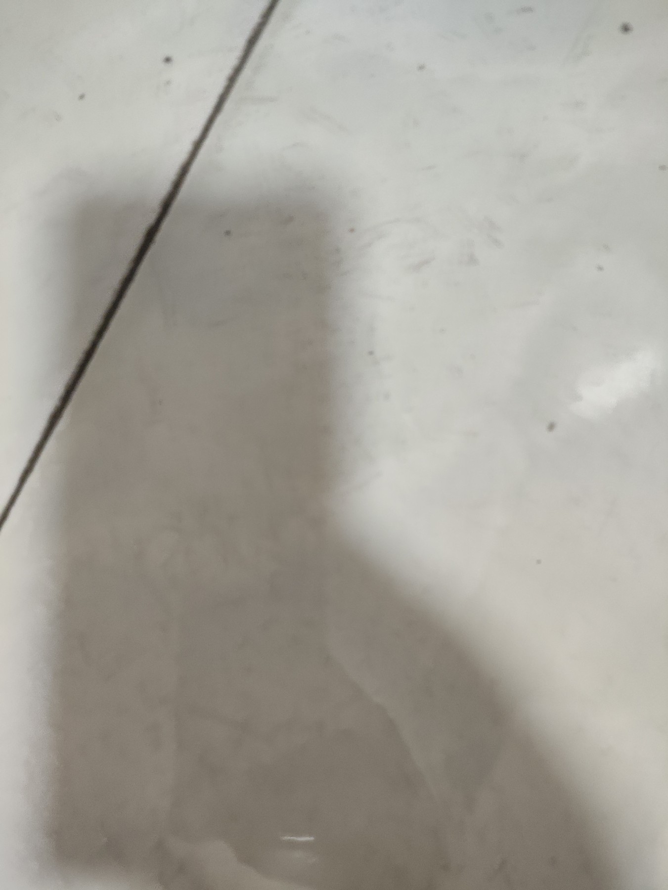 仁孝堂徽章红藏拍卖(第四场) 批判材料2 江