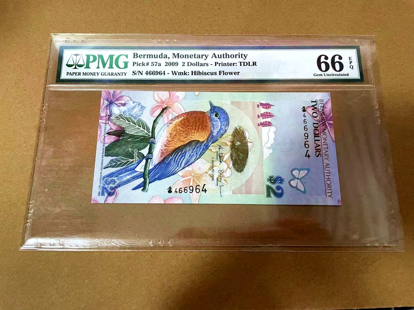 【Blue Auction】✨世界纸币精拍第464期【精】  【获奖钞 洋葱冠】百慕大 2009年2元 蓝鸟 PMG66EPQ